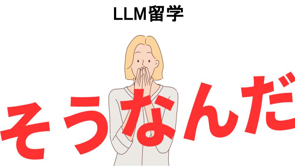 意味ないと思う人におすすめ！LLM留学の代わり